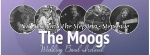 themoogs-wedding = band Ireland - showcase January 2016